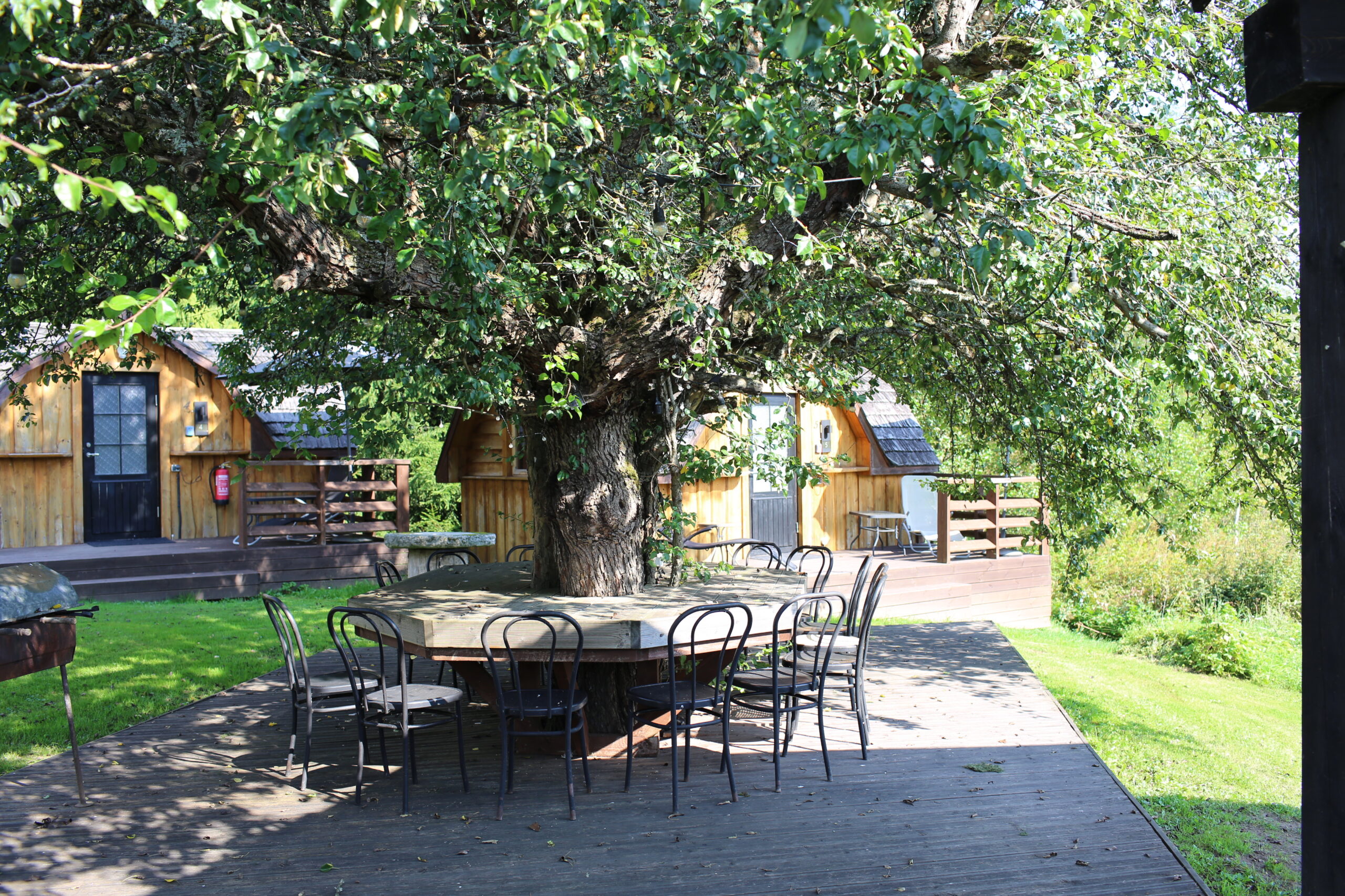 Vabaõhulaud ümber puu